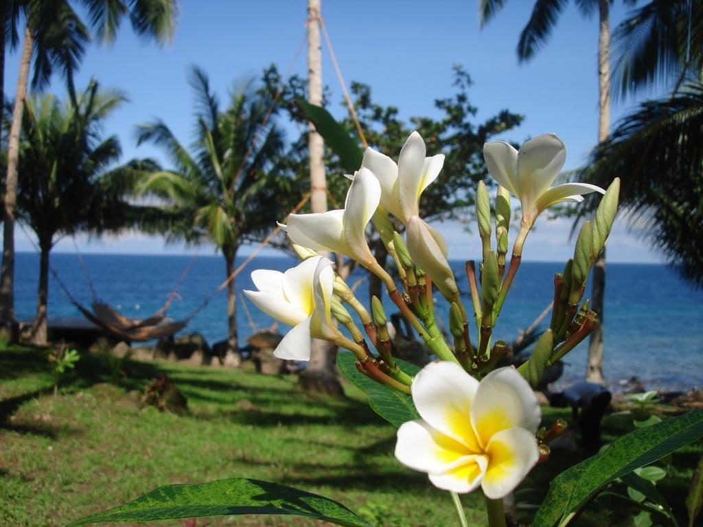 Camiguin Volcan Beach Eco Retreat & Dive Resort Mambajao Dış mekan fotoğraf