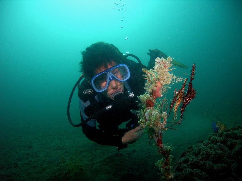 Camiguin Volcan Beach Eco Retreat & Dive Resort Mambajao Dış mekan fotoğraf